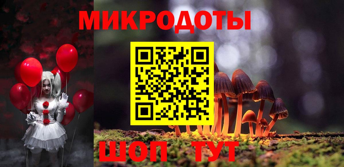 Галлюциногенные грибы Psilocybe Анжеро-Судженск