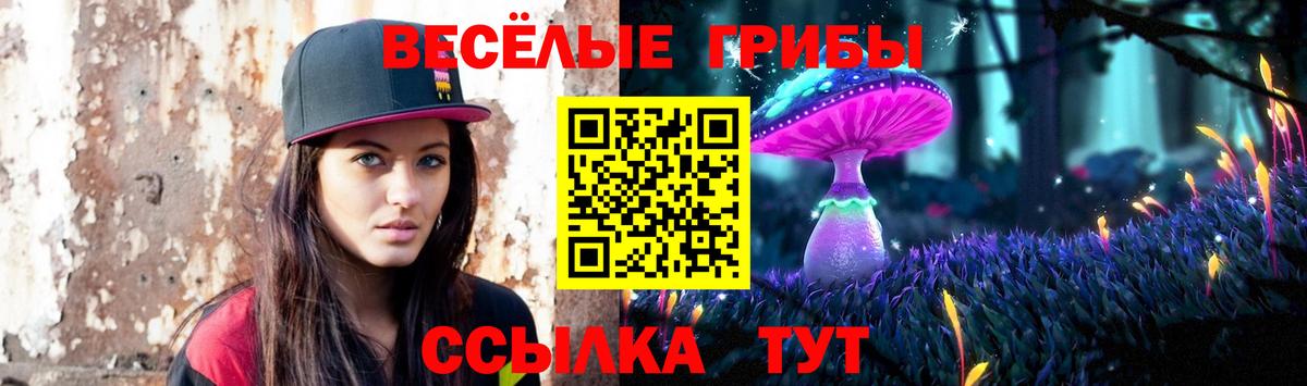 Галлюциногенные грибы ЛСД  Вход с VPN  закладка  Анжеро-Судженск  Псилоцибиновые грибы Magic Shrooms 